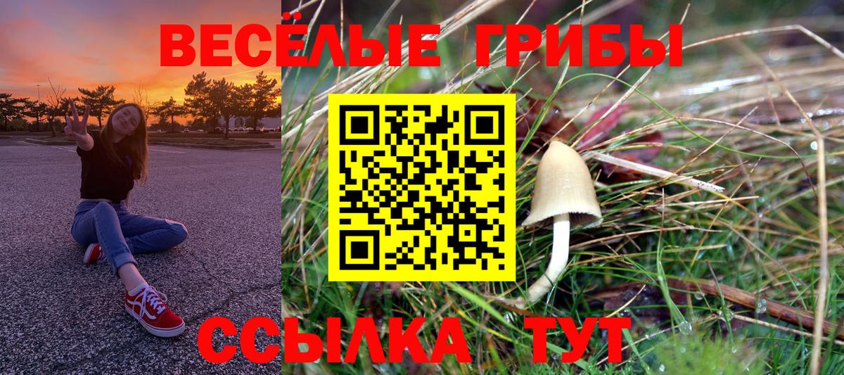 Галлюциногенные грибы GOLDEN TEACHER Домодедово
