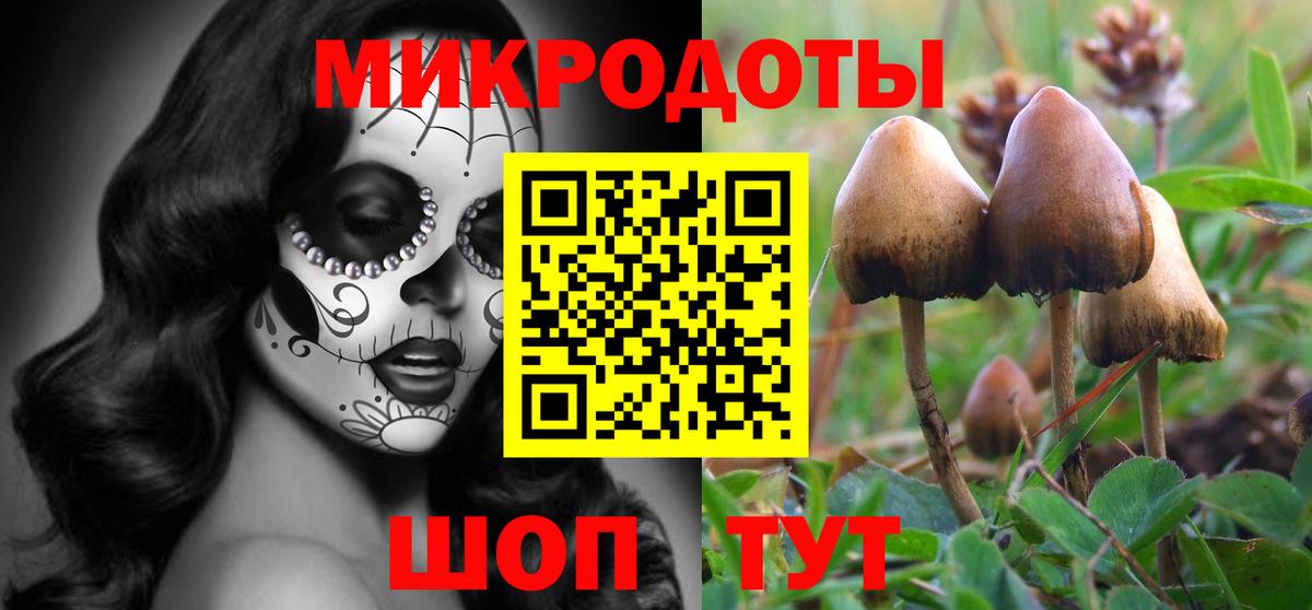 Домодедово  Псилоцибиновые грибы Magic Shrooms  Галлюциногенные грибы Psilocybe  Вход с VPN 